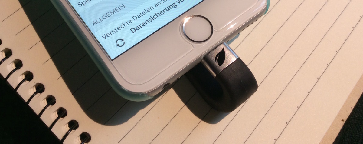 Im Test: Leef iBRIDGE