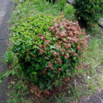 IMG_20160621_200543